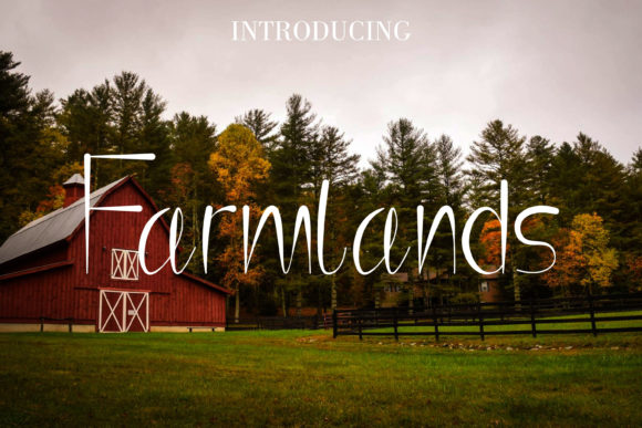 Farmlands: A Playful Display Font for Branding and Design